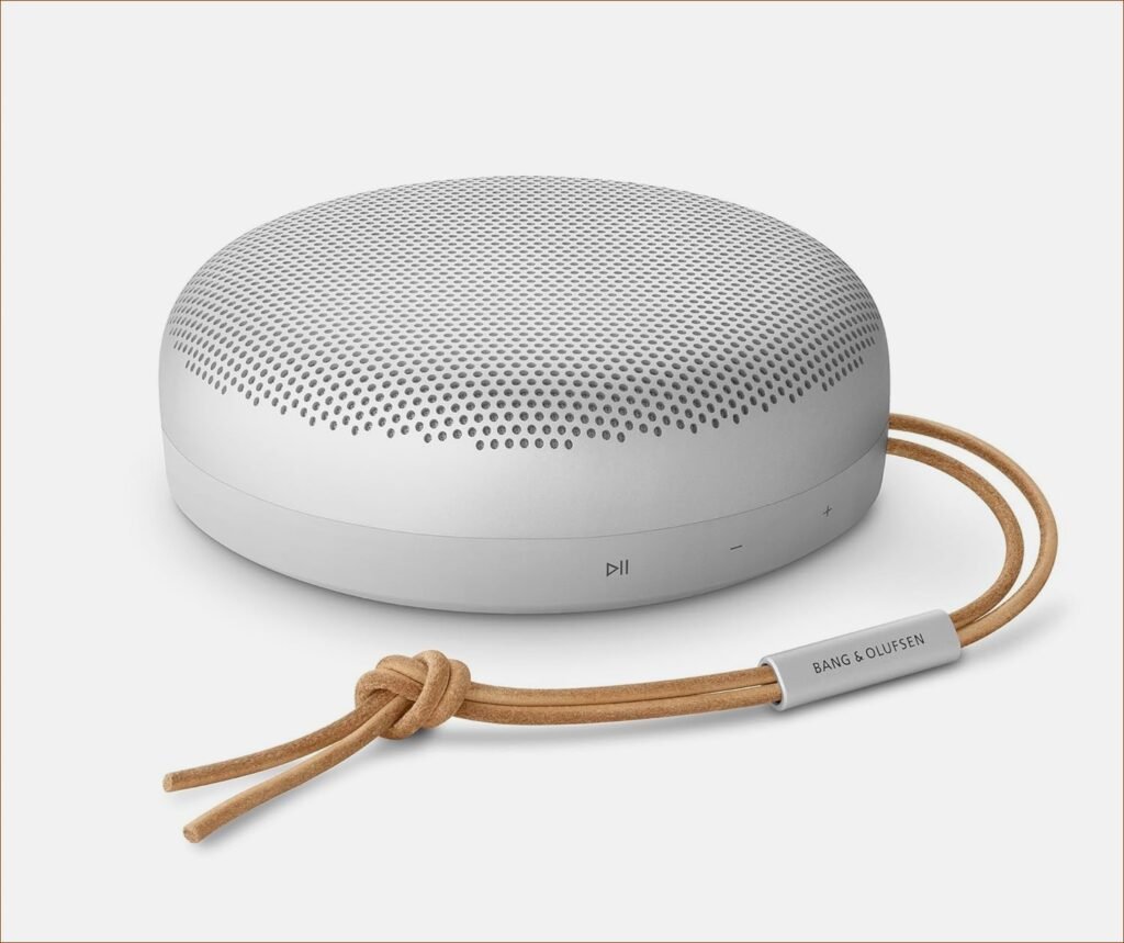 Bang & Olufsen Beosound A1